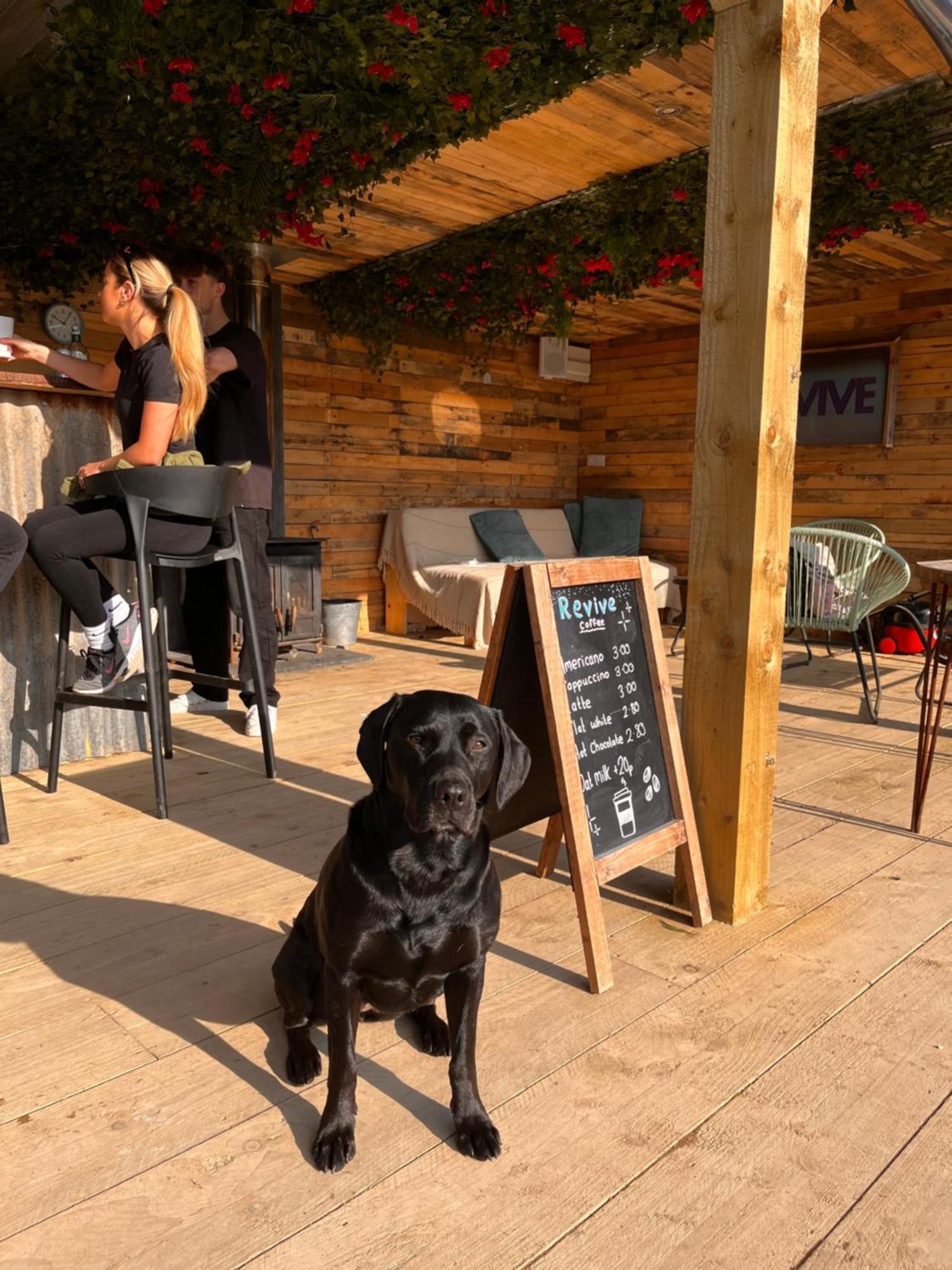 Rostrevor Mountain Lodge - Glamping Pods - Revive Sauna & Hot Tubs Zewnętrze zdjęcie